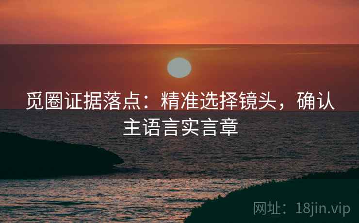 觅圈证据落点：精准选择镜头，确认主语言实言章